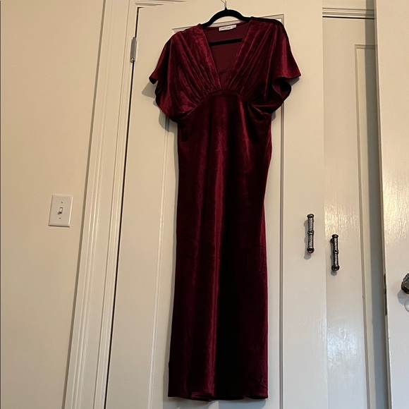 Petal & Pup Burgundy Velvet Maxi Dress - Picture 5 of 5
